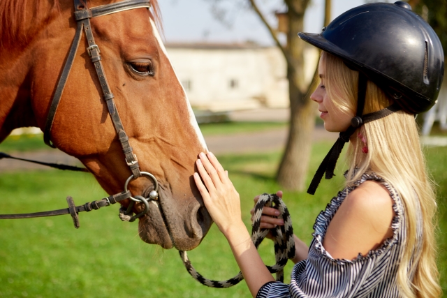 千葉の乗馬クラブでできることは？体験からトレーニングまで