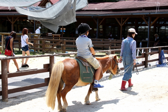 千葉で乗馬体験！子供の習い事に乗馬がおすすめの理由